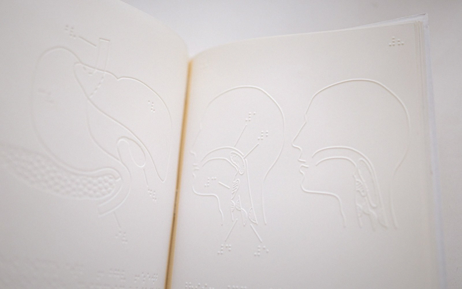 Open book with embossed tactile diagrams of head profiles and internal organs for braille readers