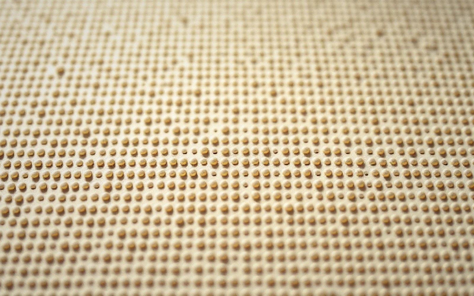 Braille for Music and Mathematics