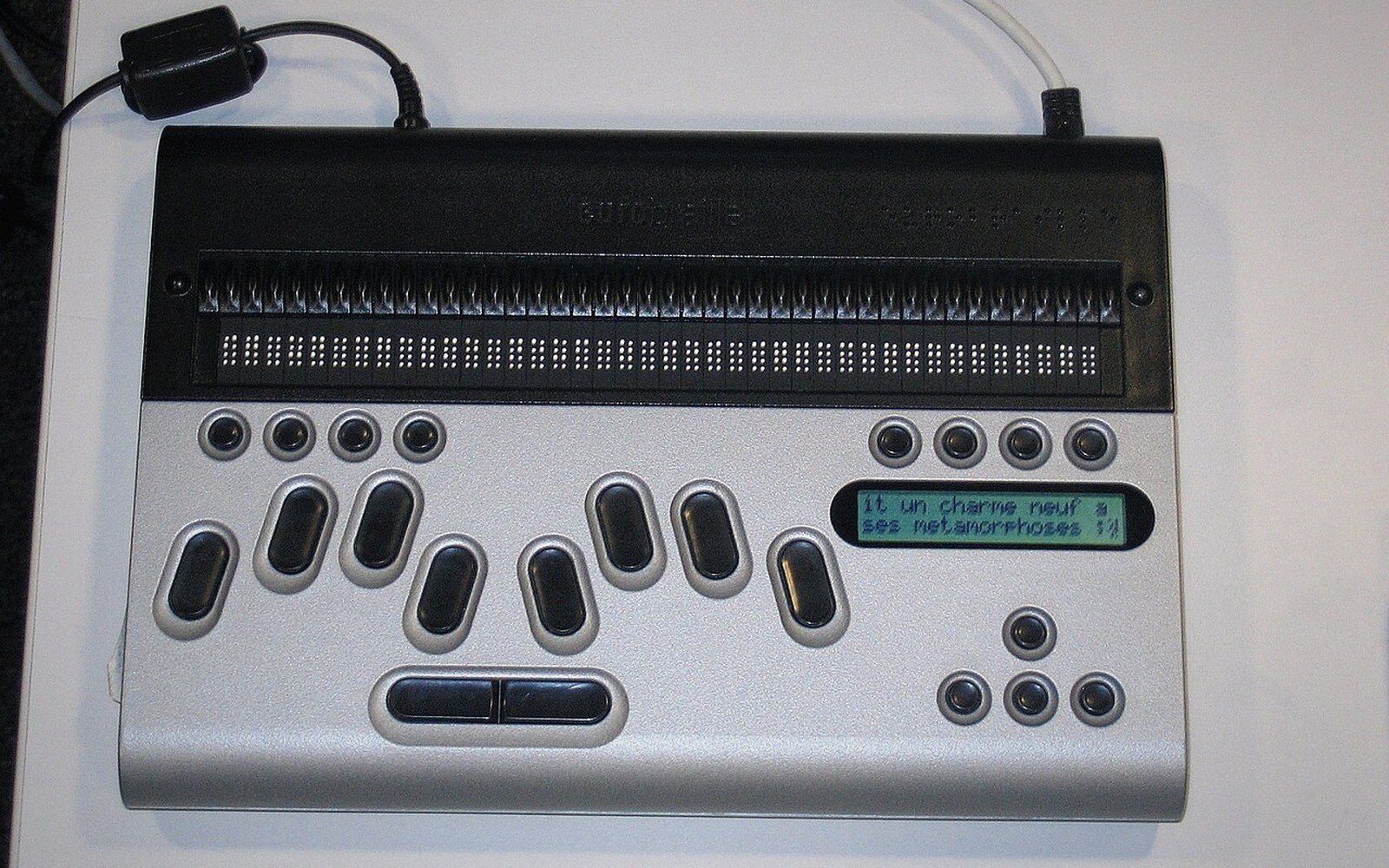 A refreshable braille display's pin array in close macro